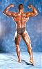 Backs that look like WALLS !-phil_johnson02.jpg