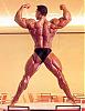 Backs that look like WALLS !-t_levk06.jpg