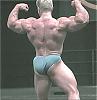 Backs that look like WALLS !-t_maif01.jpg