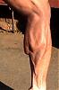 Inspiring pix of LEGS !-calf03.jpg