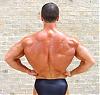 Backs that look like WALLS !-dsc00042ago.jpg