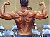 Backs that look like WALLS !-misc55.jpg