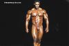 kevin levrone-kevinlevrone0556.jpg