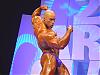 kevin levrone-101.jpg