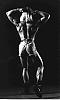 Lady Bodybuilders Gallery-marj10.jpg