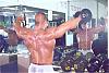 New IFBB Pro Mike Morris-mikemorris5.jpg