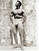 Bodybuilders of the 1950's-keith_stephan13.jpg