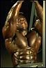 Bodybuilding Enigma ? - Vic Richards-img0063.jpg