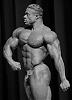 Bodybuilding Gallery II-downingsfgp.jpg