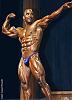 Bodybuilding Gallery II-9857352.jpg