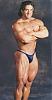 Bodybuilding Gallery II-diesel4.jpg