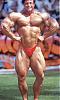 Bodybuilding Gallery II-fecd270a.jpg