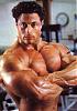 Bodybuilding Gallery II-fecd272d.jpg