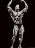 Who is ur Favourite Mr.Olympia?-2.jpg