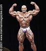 2001 Mr. Olympia PICS You May Not Have Seen!!!-ronni2.jpg