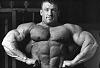 My Three Favorite Male Bodybuilders of All Time-image-3312502409.jpg