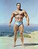 Bill Pearl, vegetarian bodybuilder, a legend from olden times, influenced Arnold S.-bill-pearl-pic.jpg