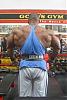 Dennis James - 2003 Mr. Olympia Pre Contest Pics-post-15-47556-11_days_out.jpg