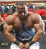 Dennis James - 2003 Mr. Olympia Pre Contest Pics-post-15-52084-10_days_out.jpg