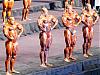 Mr. Olympia 2003-top-4-front-lat-spread.jpg