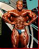 Mr. Olympia 2003-bild01.jpg