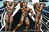 Mr. Olympia 2003-fdbe0486.jpg