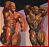 Mr. Olympia 2004-bild14.jpg