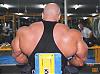 The best Rear lat spreads of Any Pro's-pcmo04-05.jpg