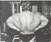 The best Rear lat spreads of Any Pro's-dorian.jpg