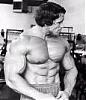 Mentzer v Arnie-arn-1.jpg