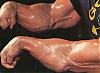 Biggest Forearms-rosbo020.jpg