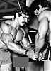 Mike Mentzer Picture Thread-m63.jpg
