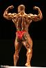 2006 NPC National Heavyweight winner Lionel Brown-740mp0457.jpg