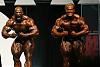 Ronnie back on top?-2006olympia_mf364.jpg