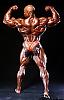 Click image for larger version. 

Name:	2001ASC-RonnieColeman57.jpg 
Views:	2840 
Size:	105.2 KB 
ID:	82477