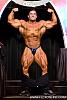 Gustavo Badell 7 Days out-gbad4.jpg