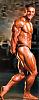 James Flex Lewis.-jameslewis-mof-001%5B1%5D.jpg