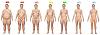 Body Fat Percentage Pics of Men &amp; Women-body-fat-percentage-women-1.jpg