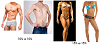 Body Fat Percentage Pics of Men &amp; Women-male-female-different-body-type.png