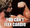 Cardio. What is considered too much cardio when on a cut.-img_481016628092001.jpeg