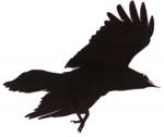cathman's Avatar