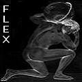 FLEX~Ottawa's Avatar