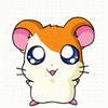 hamtaro's Avatar