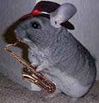 killachinchilla's Avatar